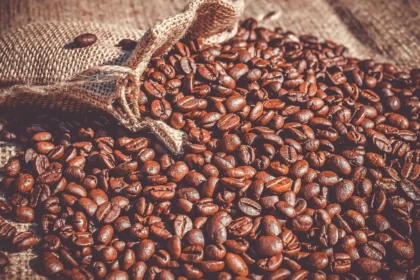 agile project management of coffee internationally in honduras