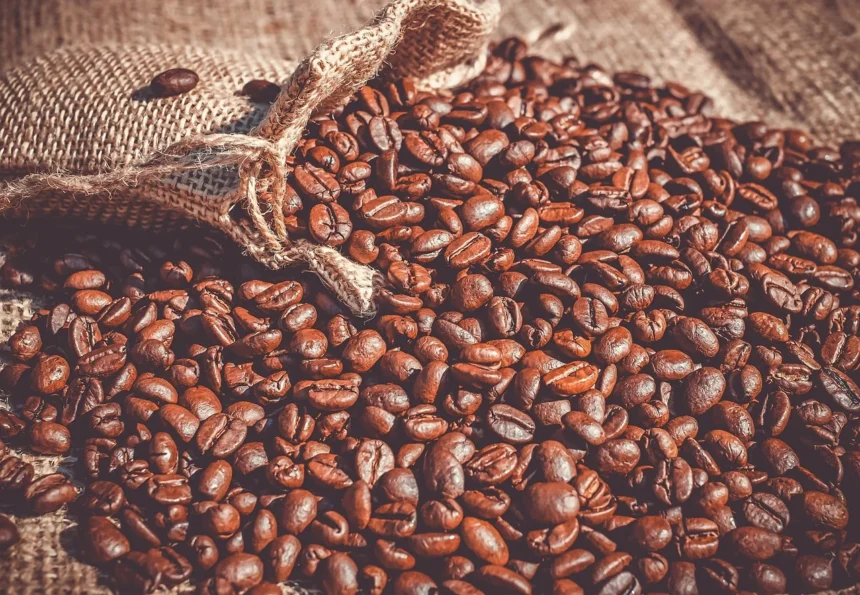 agile project management of coffee internationally in honduras